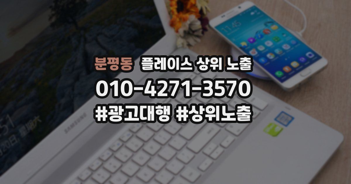 분평동 플레이스 상위 노출