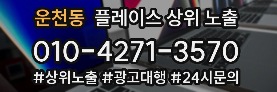 운천동 플레이스 상위 노출