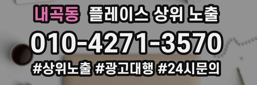 내곡동 플레이스 상위 노출