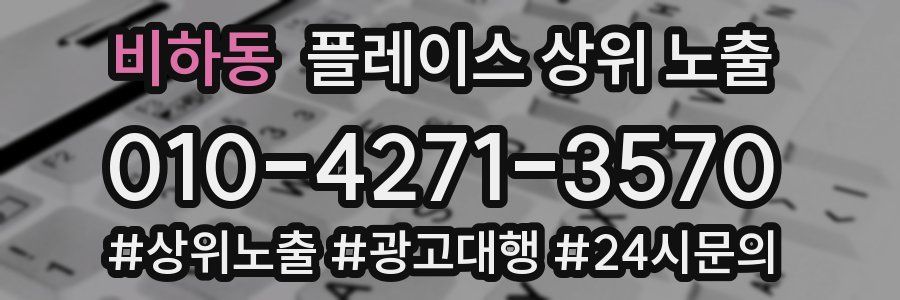 비하동 플레이스 상위 노출