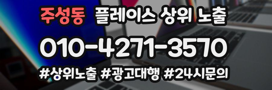 주성동 플레이스 상위 노출