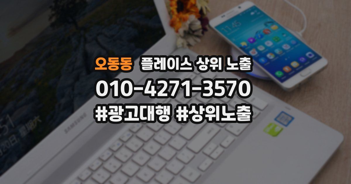 오동동 플레이스 상위 노출