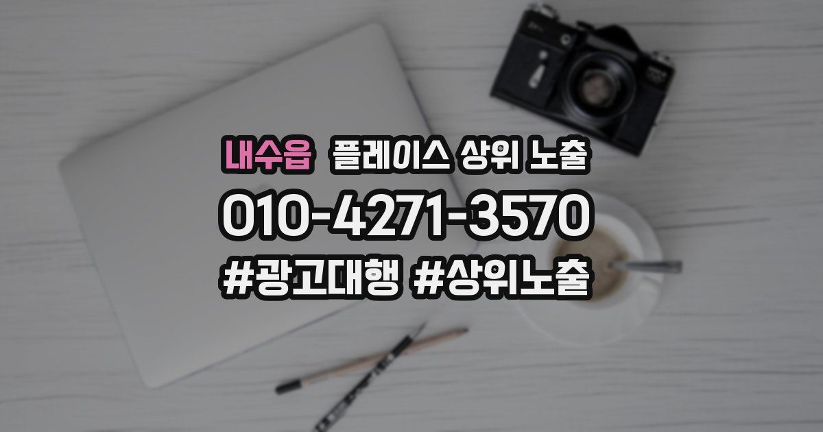 내수읍 플레이스 상위 노출