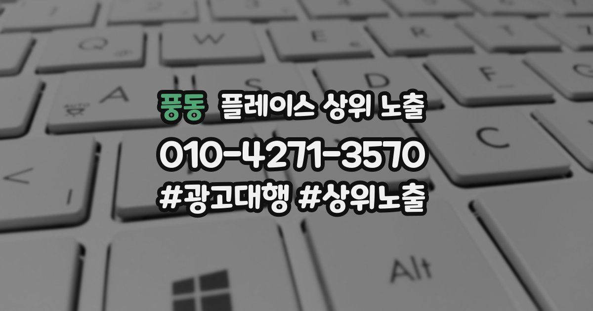 풍동 플레이스 상위 노출