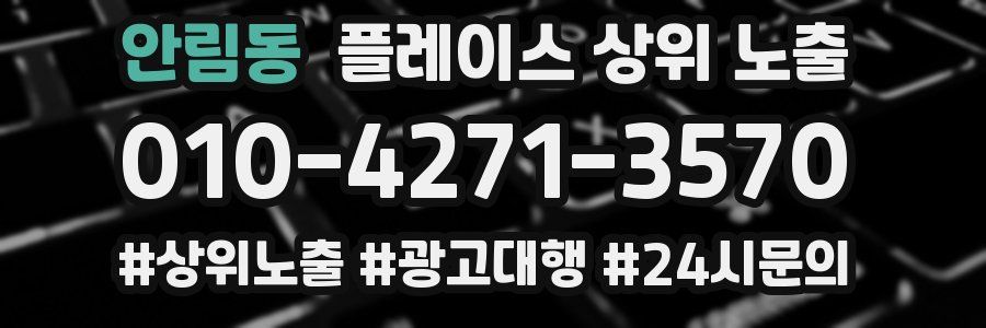 안림동 플레이스 상위 노출