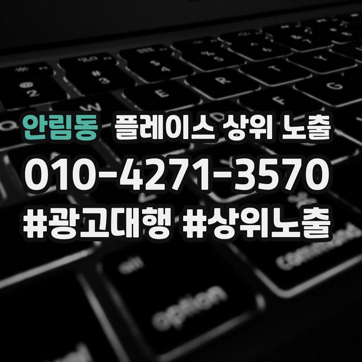 안림동 플레이스 상위 노출