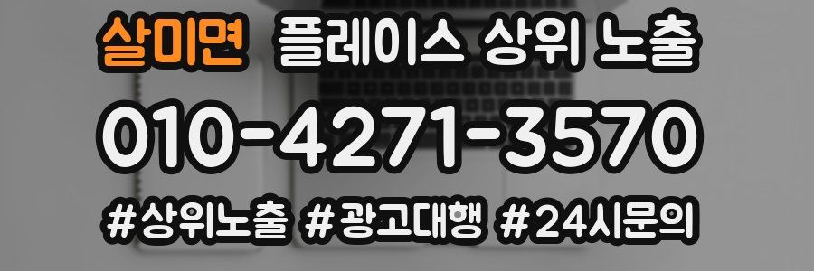 살미면 플레이스 상위 노출