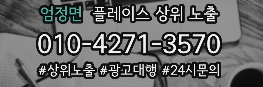 엄정면 플레이스 상위 노출