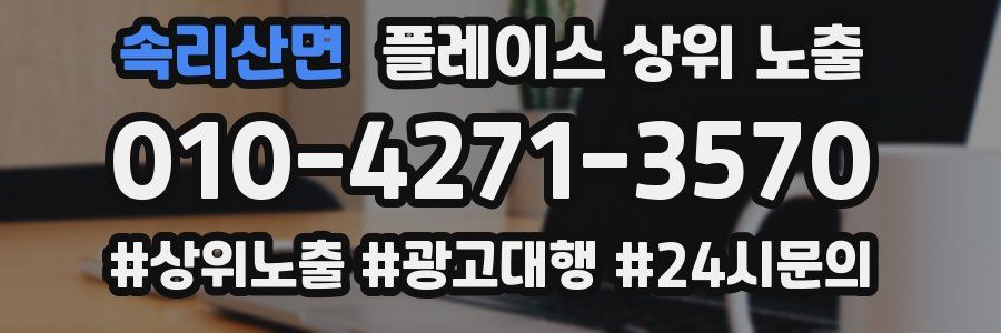속리산면 플레이스 상위 노출
