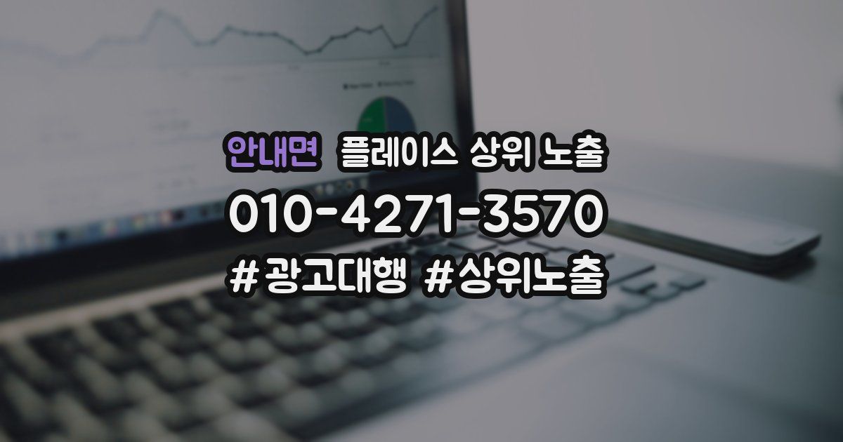 안내면 플레이스 상위 노출