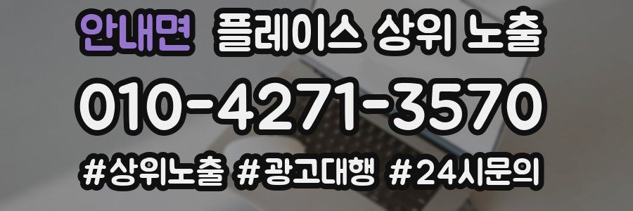 안내면 플레이스 상위 노출