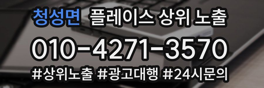 청성면 플레이스 상위 노출