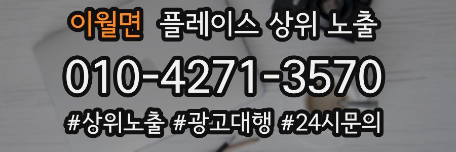 이월면 플레이스 상위 노출