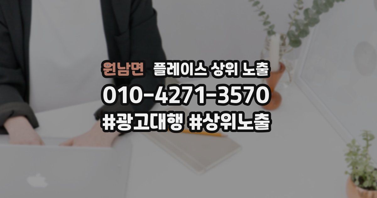 원남면 플레이스 상위 노출