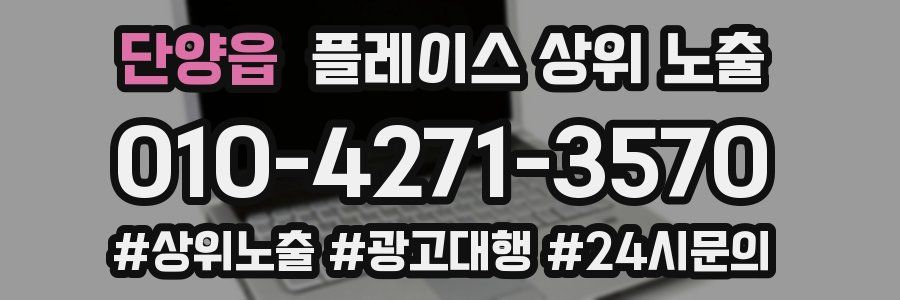 단양읍 플레이스 상위 노출