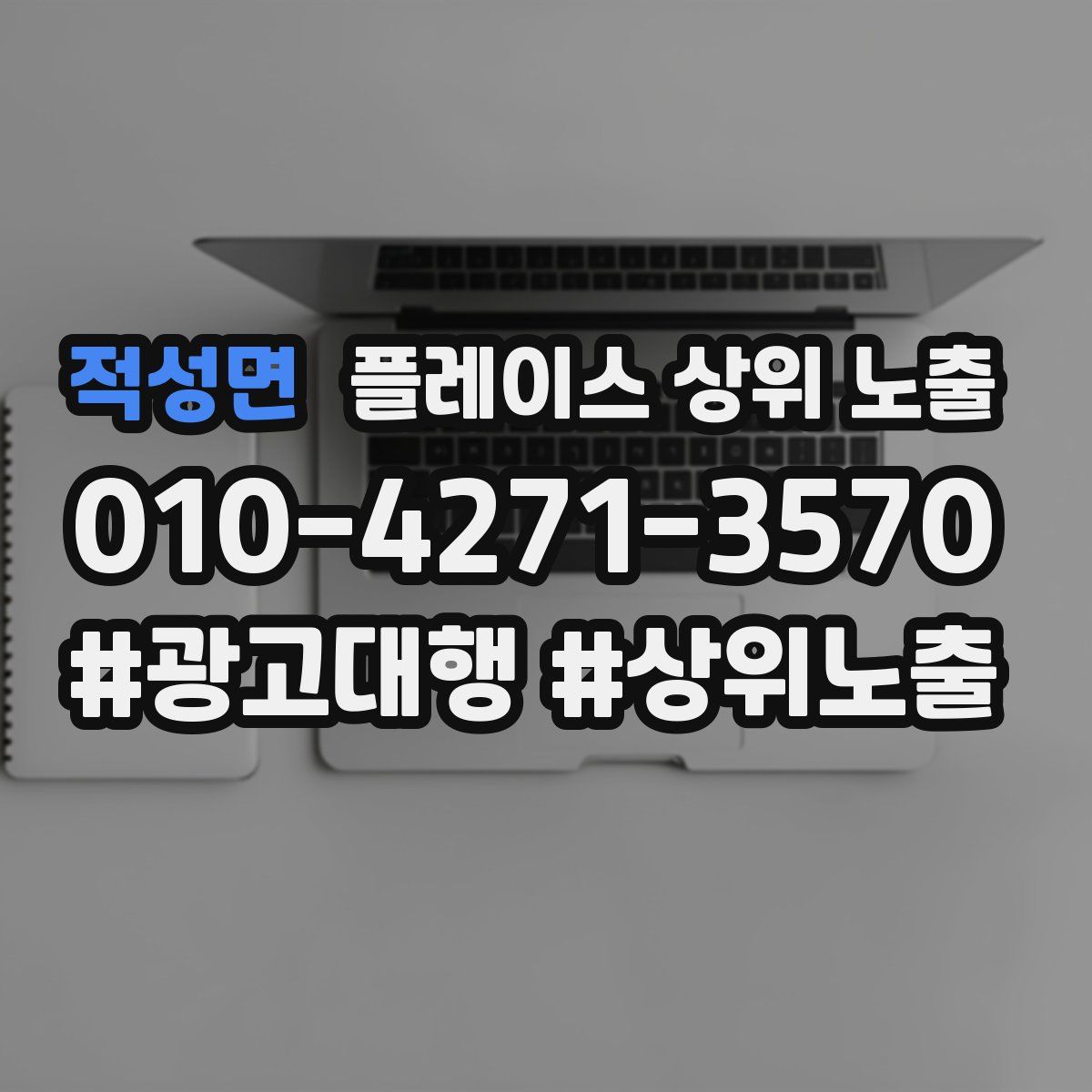 적성면 플레이스 상위 노출