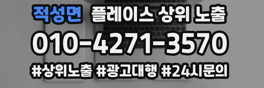 적성면 플레이스 상위 노출