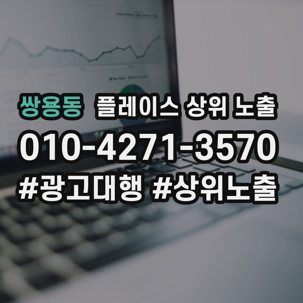 쌍용동 플레이스 상위 노출