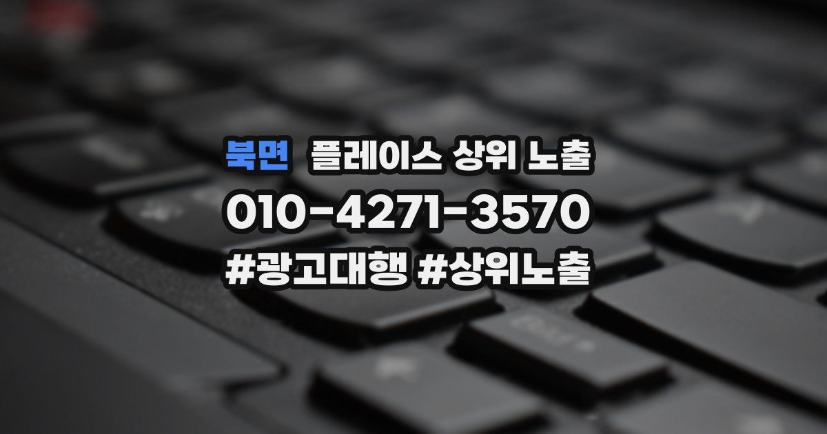 북면 플레이스 상위 노출