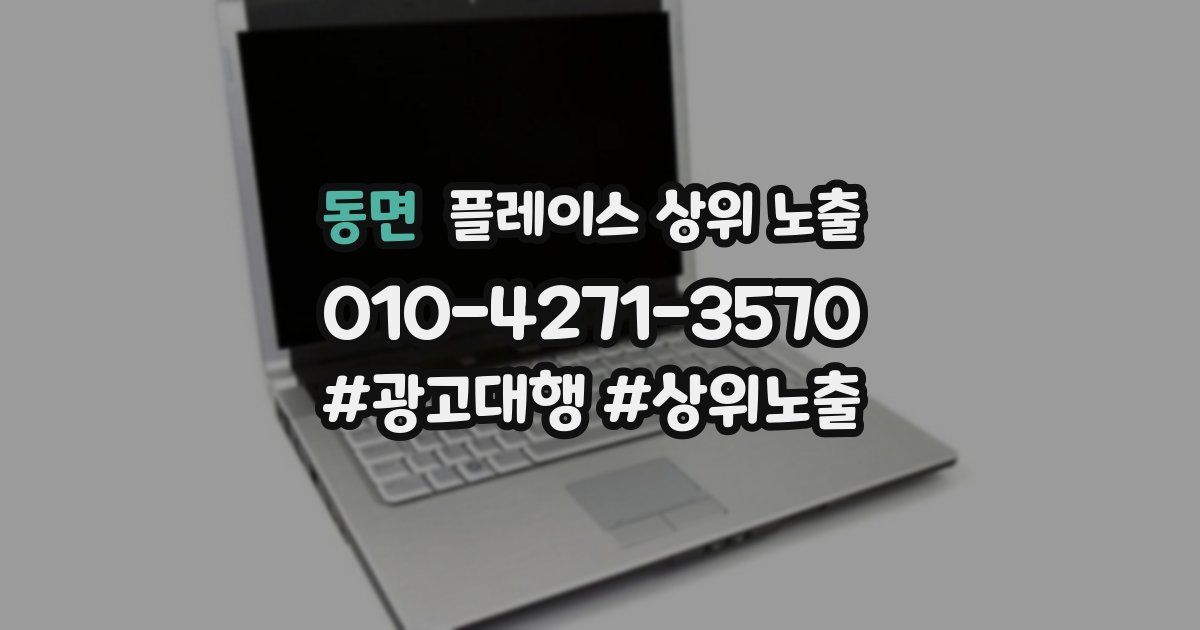 동면 플레이스 상위 노출