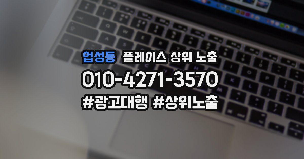 업성동 플레이스 상위 노출