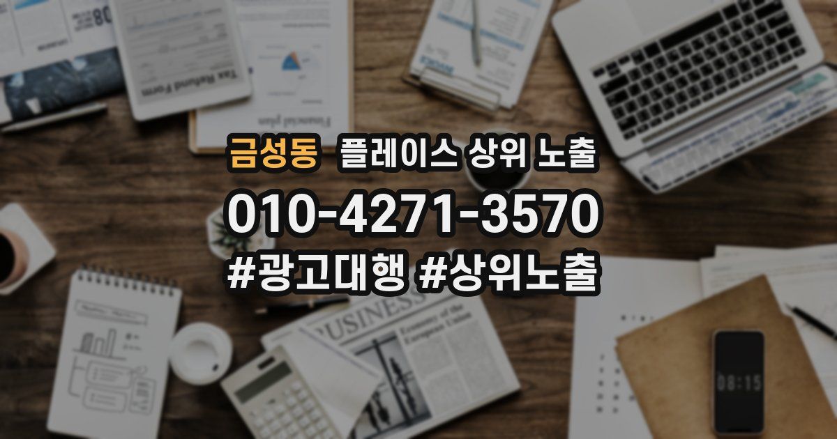 금성동 플레이스 상위 노출