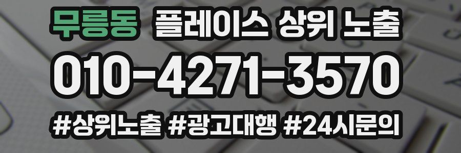 무릉동 플레이스 상위 노출