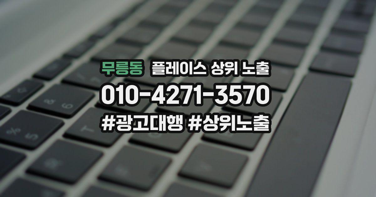 무릉동 플레이스 상위 노출