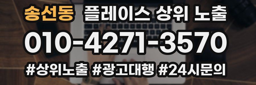 송선동 플레이스 상위 노출