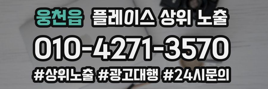 웅천읍 플레이스 상위 노출