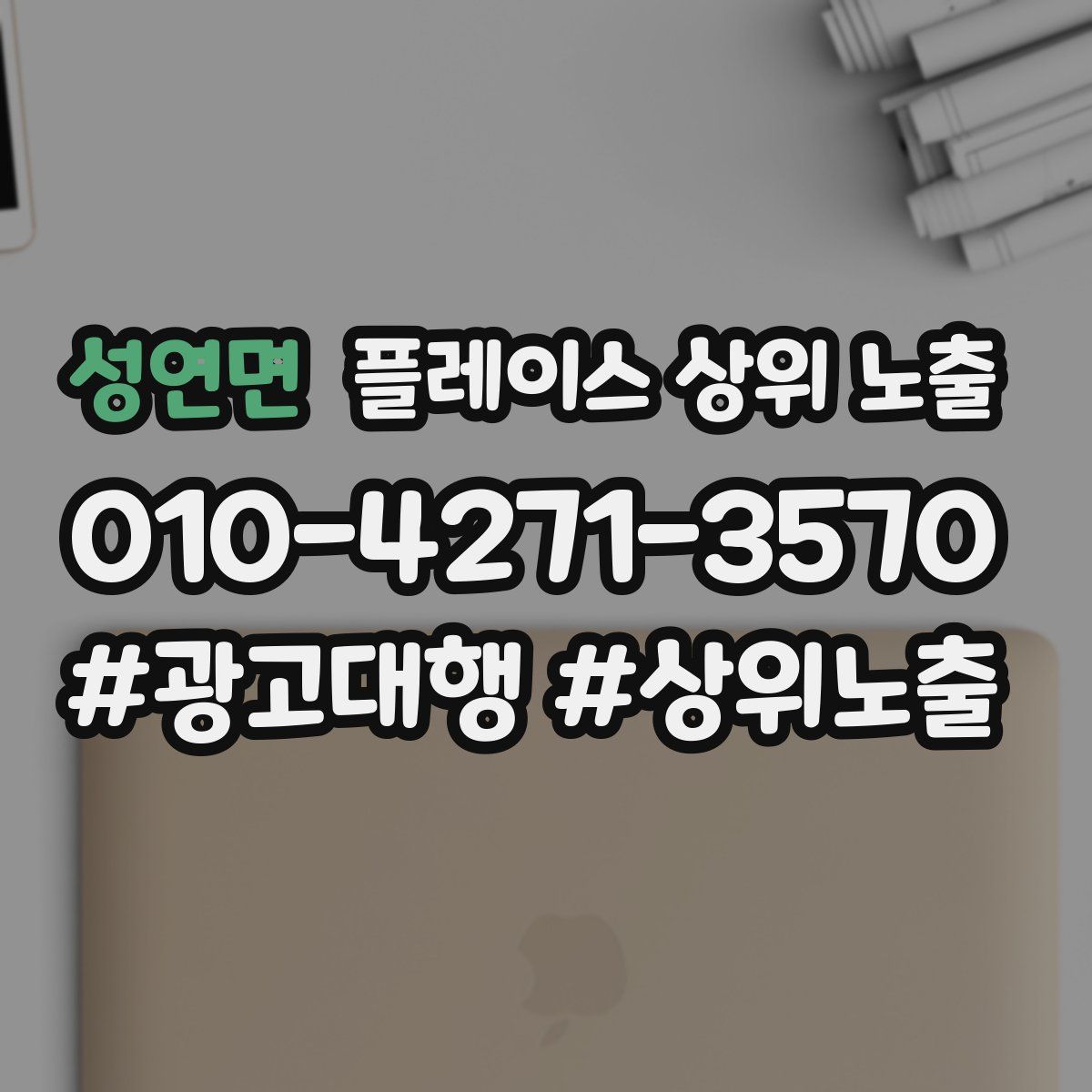 성연면 플레이스 상위 노출
