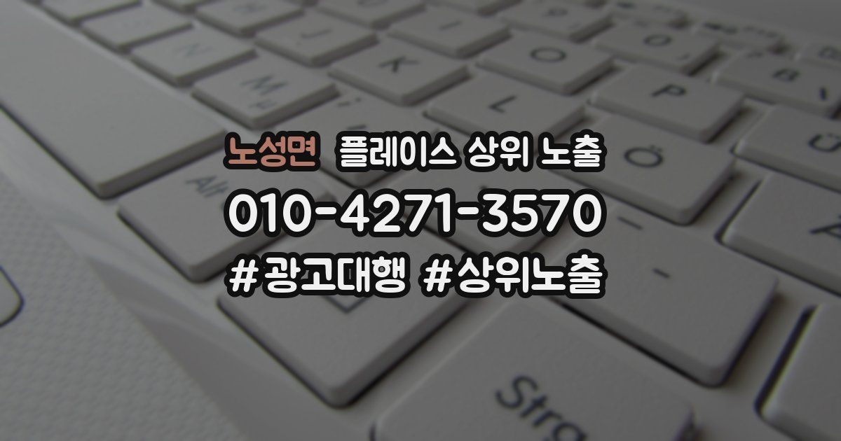 노성면 플레이스 상위 노출