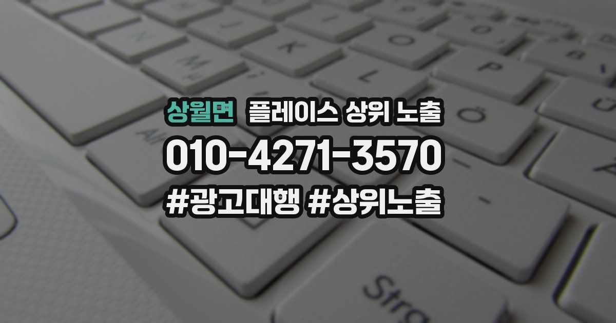 상월면 플레이스 상위 노출