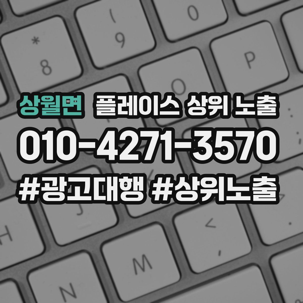 상월면 플레이스 상위 노출