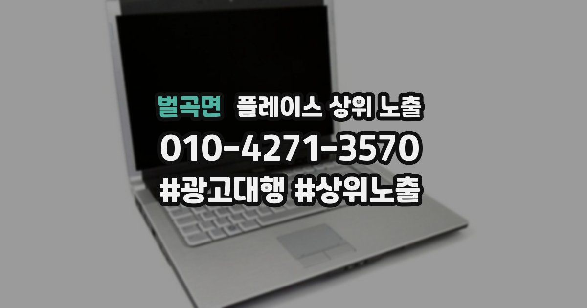 벌곡면 플레이스 상위 노출
