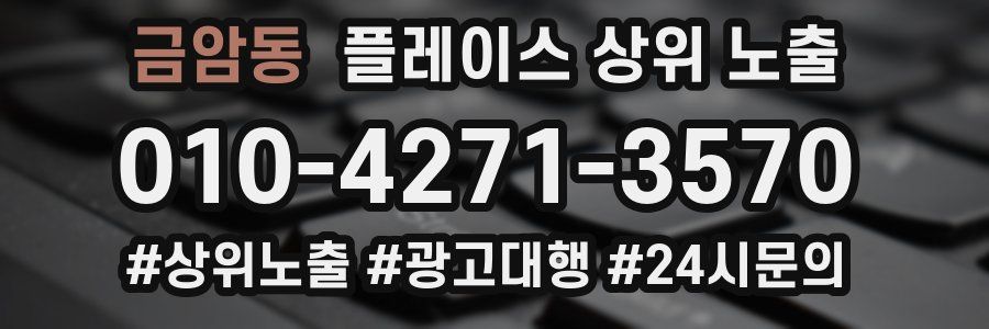 금암동 플레이스 상위 노출