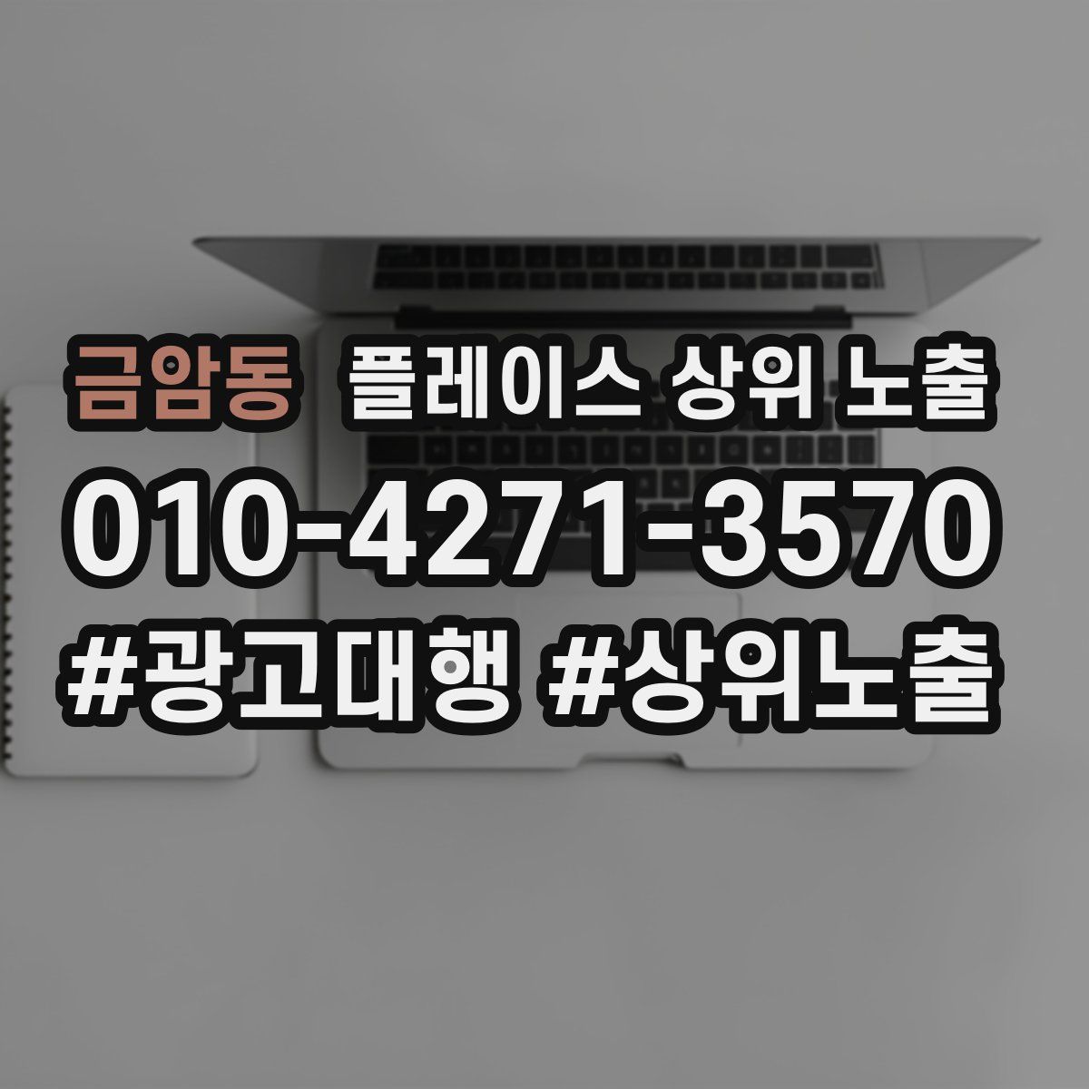 금암동 플레이스 상위 노출