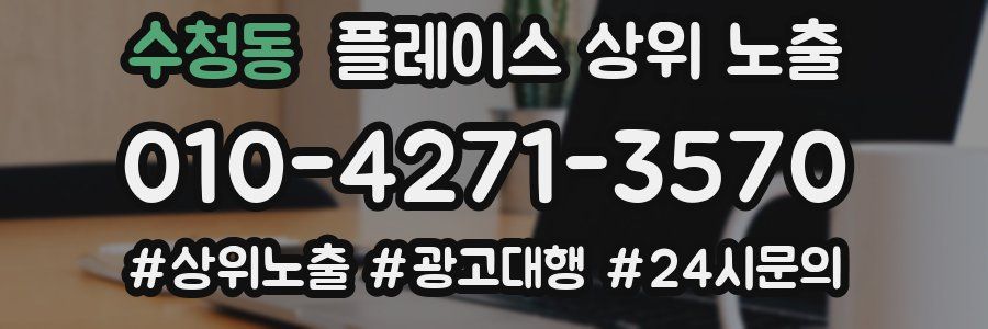 수청동 플레이스 상위 노출