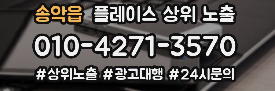 송악읍 플레이스 상위 노출