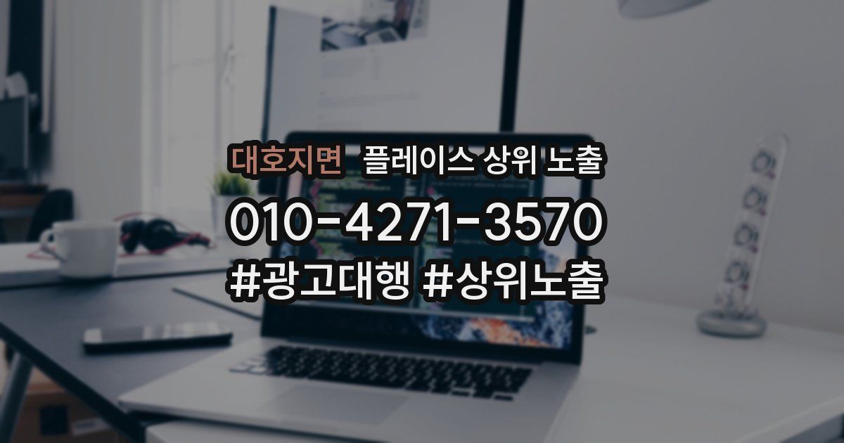 대호지면 플레이스 상위 노출