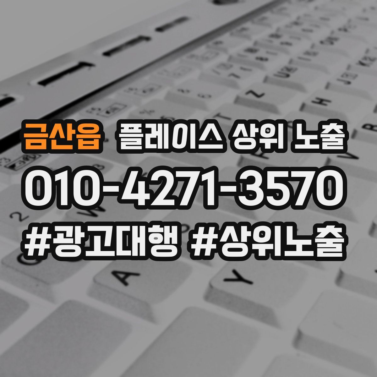 금산읍 플레이스 상위 노출