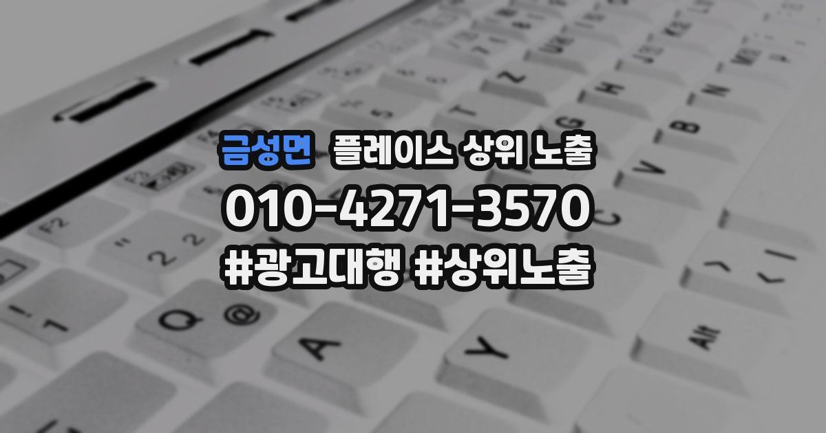 금성면 플레이스 상위 노출