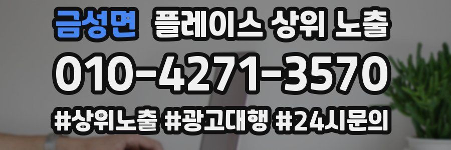 금성면 플레이스 상위 노출