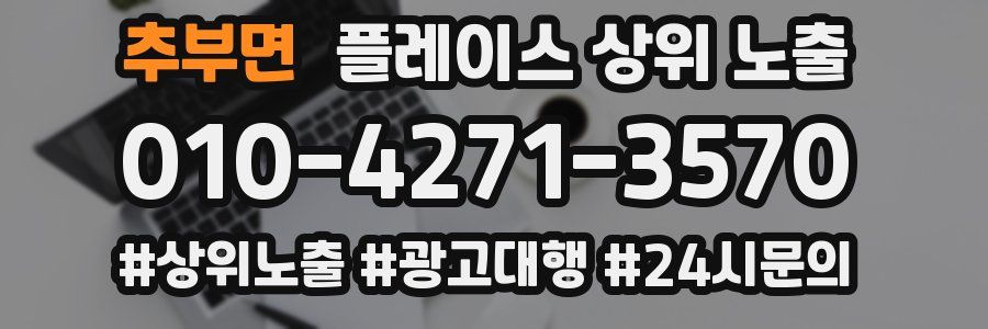 추부면 플레이스 상위 노출