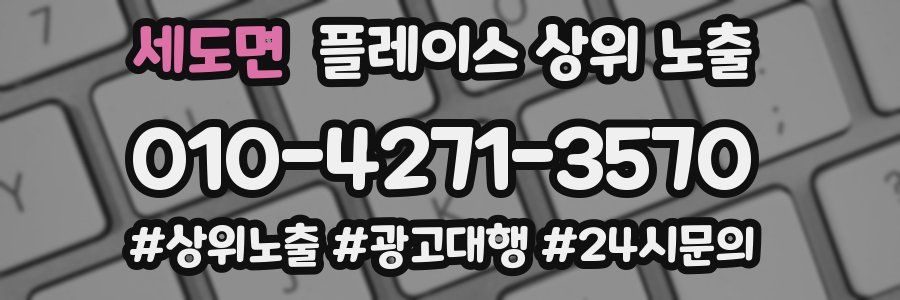 세도면 플레이스 상위 노출