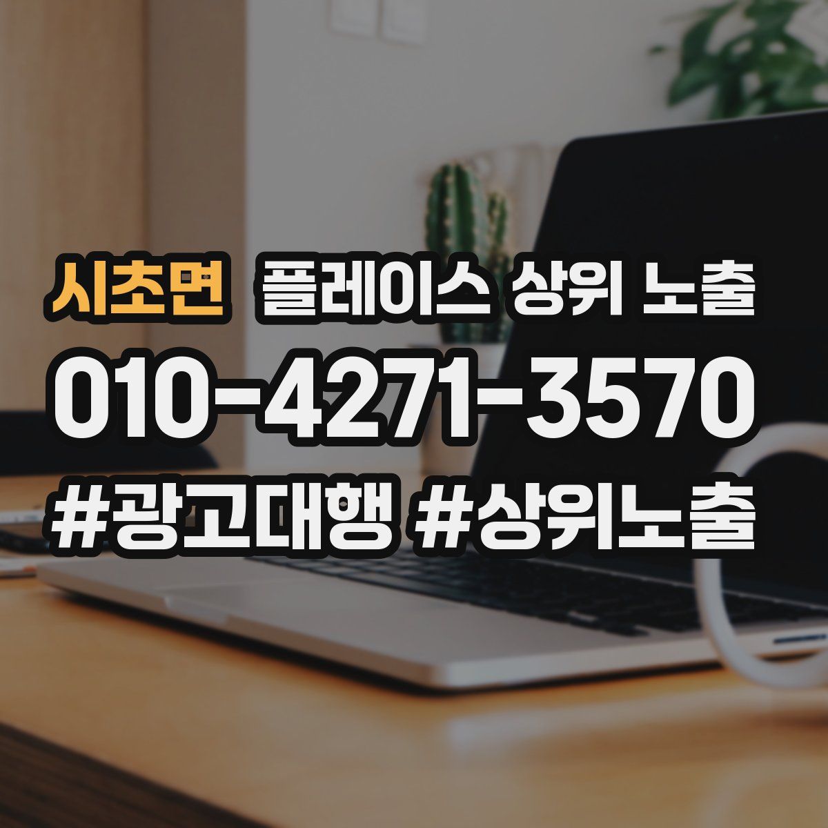 시초면 플레이스 상위 노출