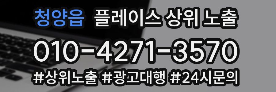 청양읍 플레이스 상위 노출