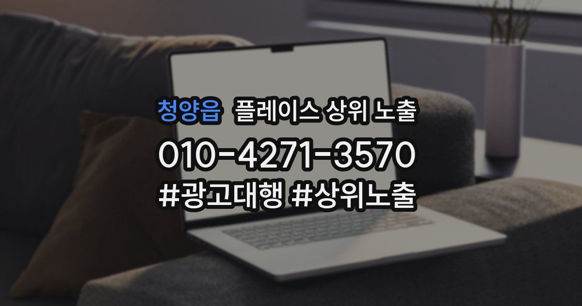 청양읍 플레이스 상위 노출