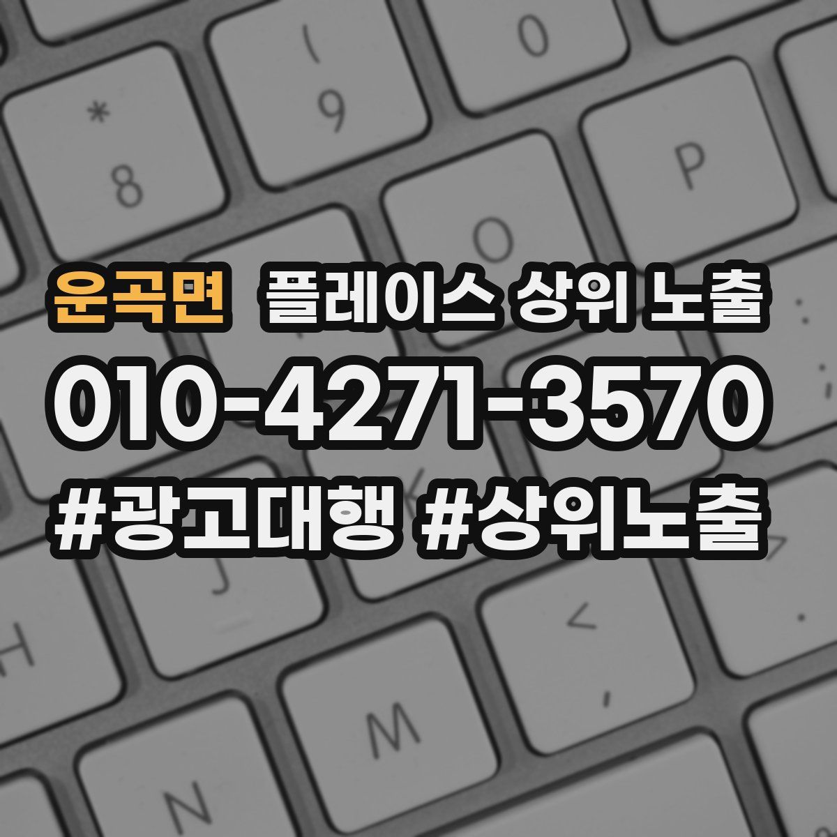 운곡면 플레이스 상위 노출