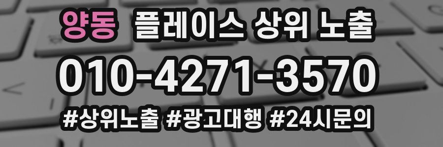 양동 플레이스 상위 노출